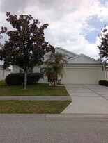 7733 Outerbridge St in Wesley Chapel, FL - Building Photo