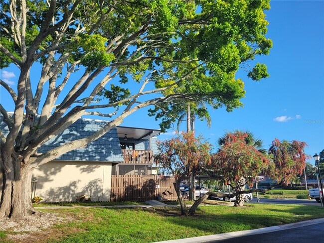 14521 Catalina Cir in Seminole, FL - Building Photo - Building Photo