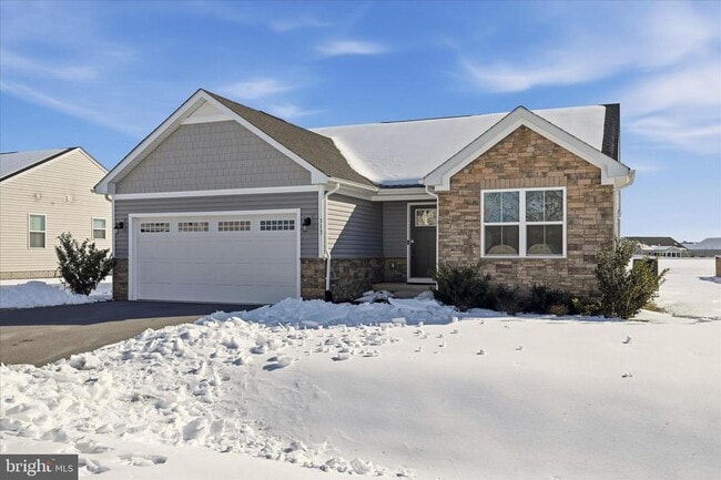 313 Switchgrass Ct in Bunker Hill, WV - Building Photo - Building Photo