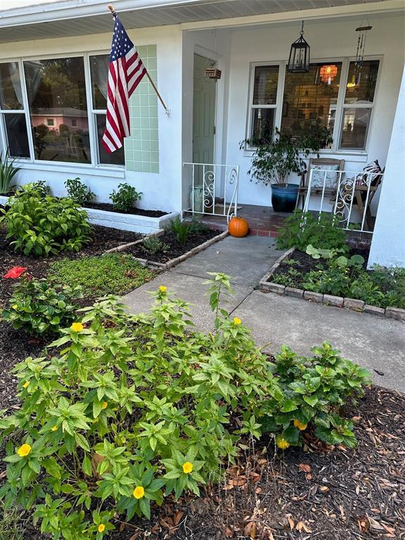 815 Woodley Rd in Clearwater, FL - Building Photo - Building Photo