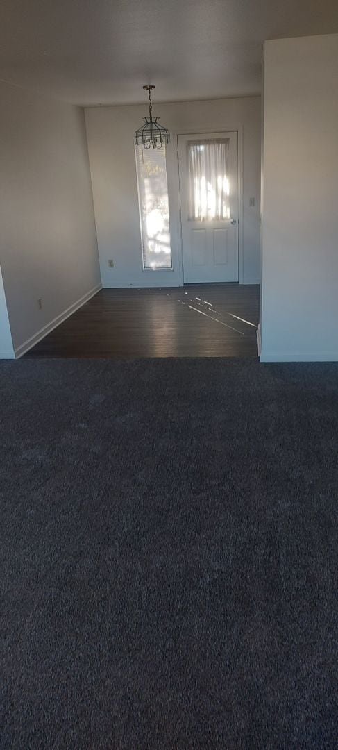 3229 Pleasant Acres Dr in Fort Collins, CO - Building Photo - Building Photo