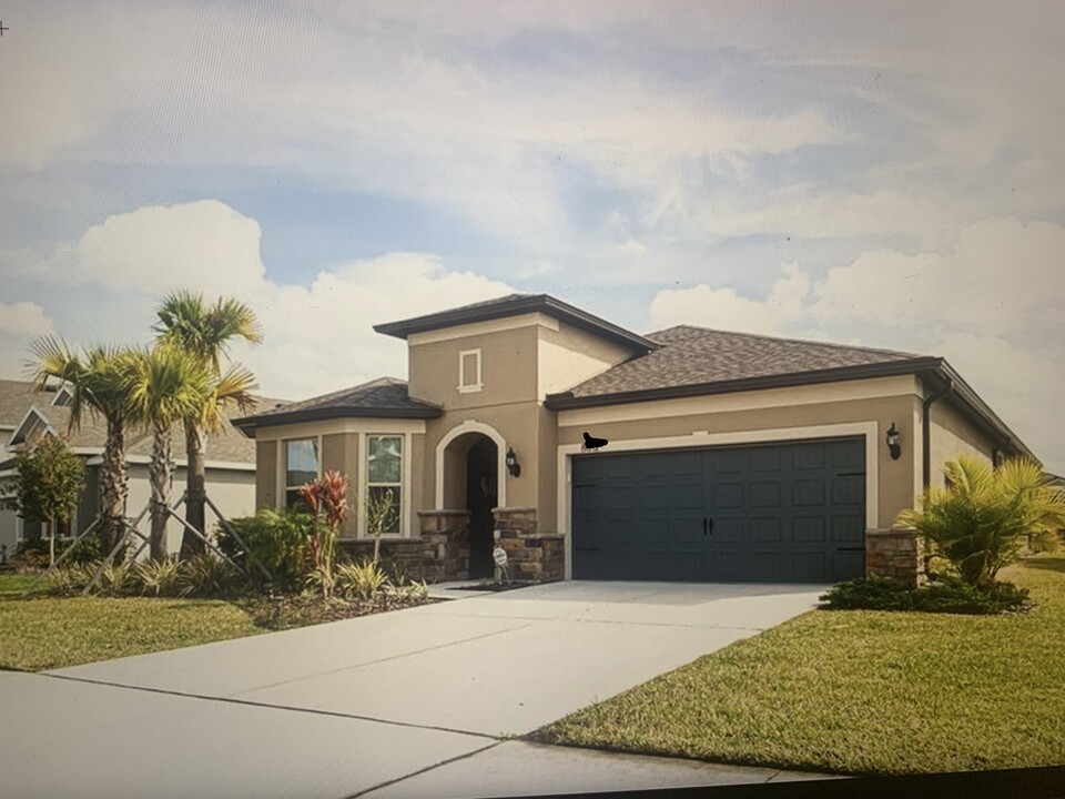 8012 Olive Brook Dr in Wesley Chapel, FL - Building Photo