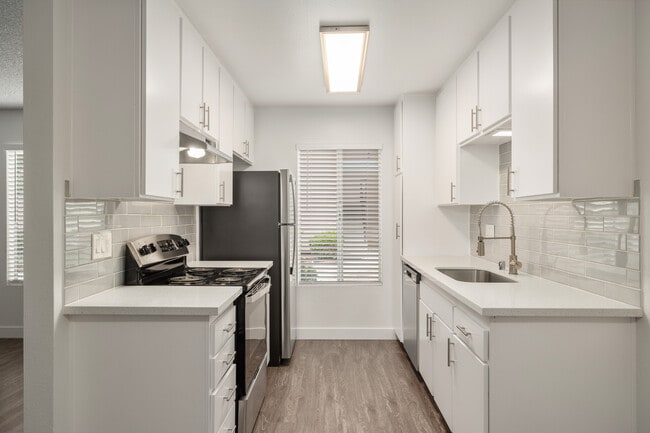 Palms in San Diego, CA - Building Photo - Building Photo