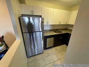 185 Freeman St in Brookline, MA - Building Photo - Building Photo