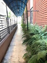 1211 Horn Ave in West Hollywood, CA - Building Photo - Building Photo