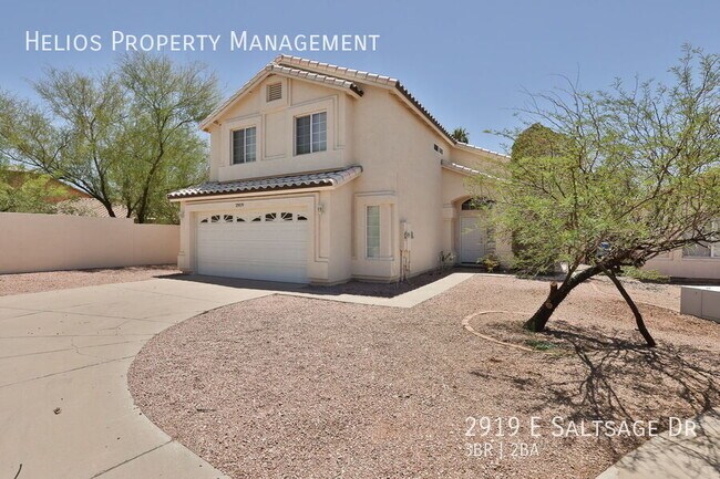 property at 2919 E Saltsage Dr