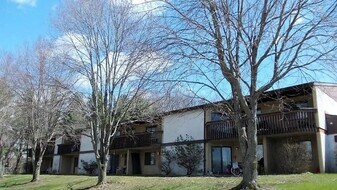 132 Mullet Dr in Killbuck, OH - Building Photo