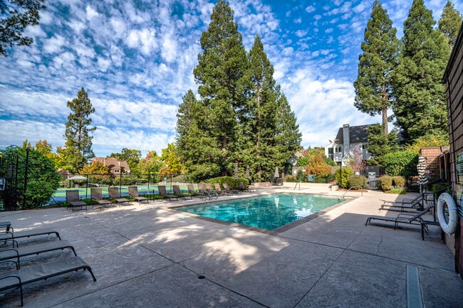 property at 1304 Foothill Dr