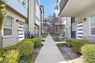 4906 Live Oak St in Dallas, TX - Building Photo