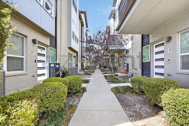 property at 4906 Live Oak St