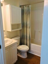 711 Cottage Sq Ln in Ocean Springs, MS - Building Photo - Building Photo