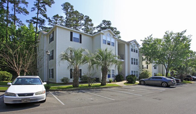 St Augustine Hills in Tallahassee, FL - Building Photo - Building Photo