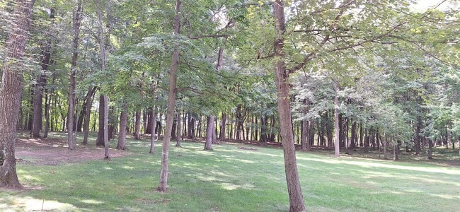 5930 Cranberry Dr, Unit 5930 Unit A in Wyoming, MN - Building Photo - Building Photo