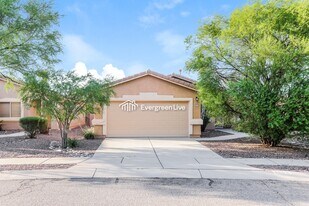 2156 W Splitwood Pl in Tucson, AZ - Building Photo