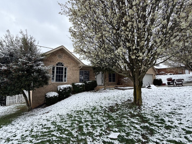 104 Laurel Canyon in Johnson City, TN - Foto de edificio - Building Photo