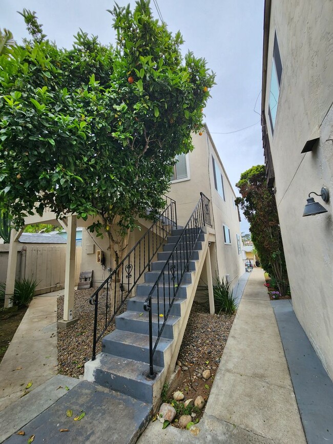 4648 Narragansett Ave in San Diego, CA - Building Photo - Building Photo