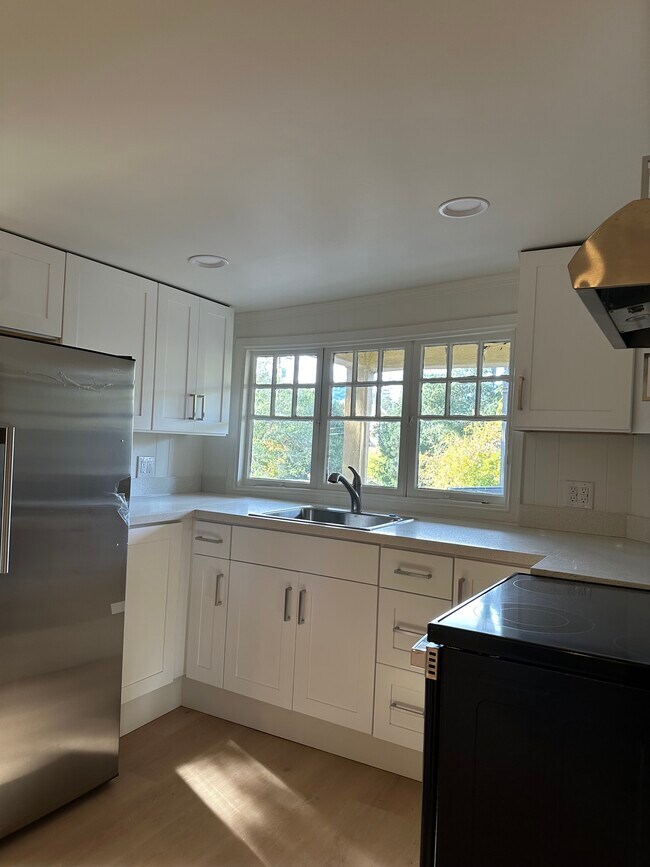 168 Palm Ave in San Rafael, CA - Building Photo - Building Photo