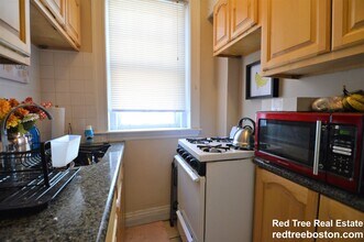 319 Allston St, Unit 4 in Boston, MA - Building Photo - Building Photo