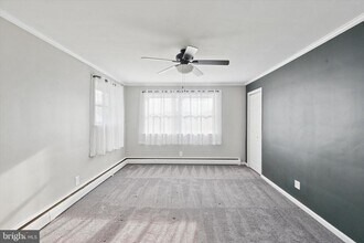 703 Hoffnagle St in Philadelphia, PA - Building Photo - Building Photo