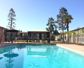 Ivy at Pickwick Park in Camarillo, CA - Foto de edificio - Building Photo