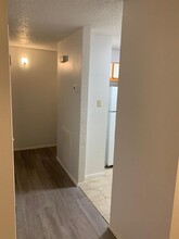 2909 Jadewood Ct in Austin, TX - Building Photo - Building Photo