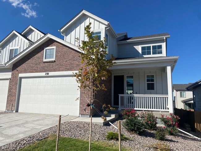 238 Silver Rock Trl in Castle Rock, CO - Building Photo - Building Photo