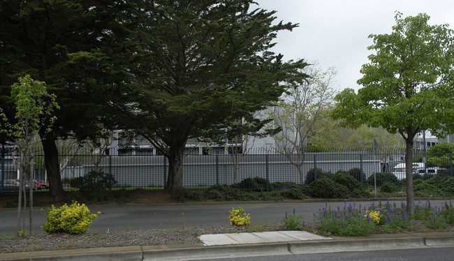 Marina Bay Northshore in Richmond, CA - Building Photo - Building Photo