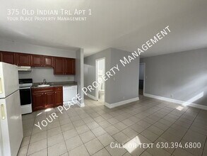 375 Old Indian Trail in Aurora, IL - Building Photo - Building Photo
