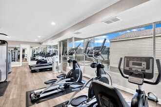 University Apartments in Norfolk, VA - Building Photo - Building Photo