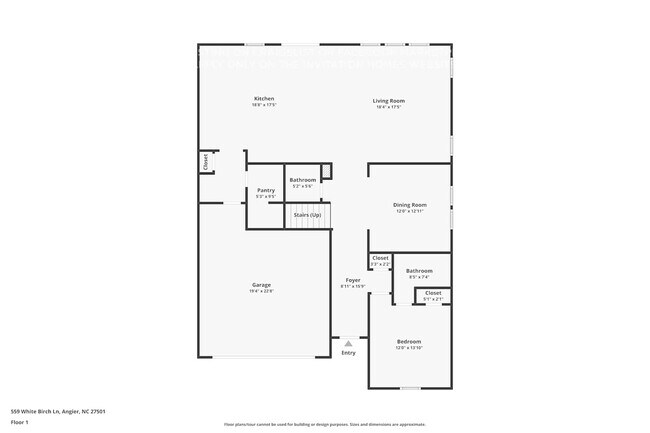 559 White Birch Ln in Angier, NC - Building Photo - Building Photo