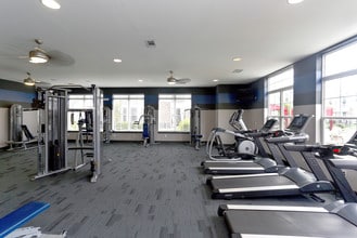 Alinium at Zionsville in Zionsville, IN - Building Photo - Interior Photo