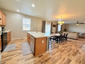 3634 Daylily St in Wellington, CO - Building Photo - Building Photo