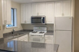 Brown Street Apartments in Ann Arbor, MI - Building Photo