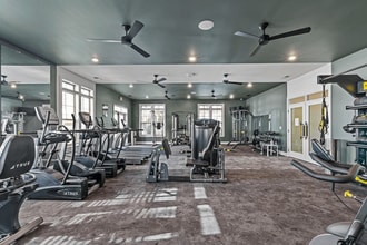 Litchford 315 Apartments in Raleigh, NC - Foto de edificio - Building Photo