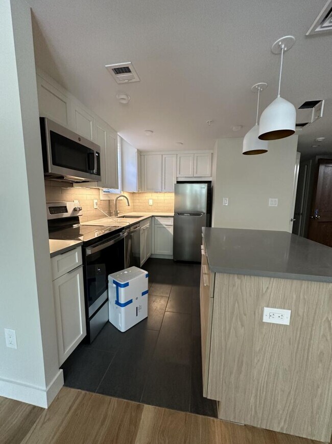 48 John F. Kennedy St in Cambridge, MA - Building Photo - Building Photo
