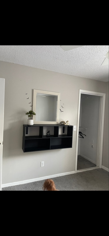 3330 Laurel View Dr in Brandon, FL - Building Photo - Building Photo