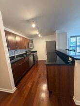 222 E Pearson St in Chicago, IL - Building Photo - Building Photo