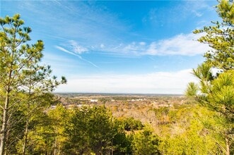 115 Pinto Ln in Fairmount, GA - Building Photo - Building Photo