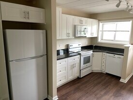 1307 College Ave in Wheaton, IL - Building Photo