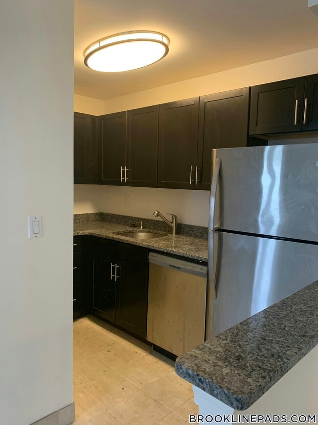 175 Freeman St, Unit 512 in Brookline, MA - Foto de edificio - Building Photo