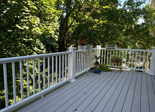 37 Alicia Rd in Boston, MA - Building Photo - Building Photo