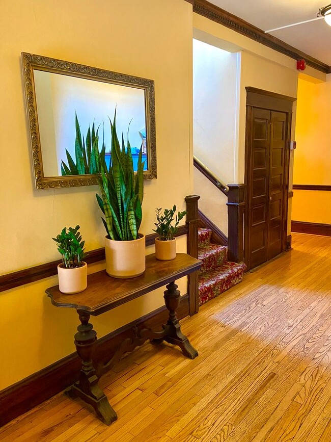 Villa Jene Apartments
