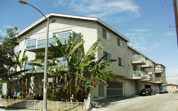 329 W 14th St in Long Beach, CA - Building Photo - Building Photo