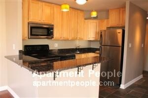 1355 N Sandburg Terrace-Unit -1202 in Chicago, IL - Building Photo - Building Photo