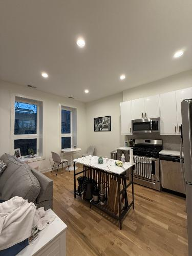 1108 N Paulina St in Chicago, IL - Building Photo - Building Photo