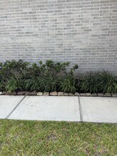 10818 Catclaw Ct in Tomball, TX - Building Photo - Building Photo