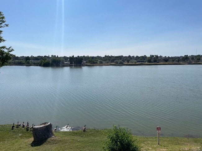 property at 1015 W Lakeside Dr