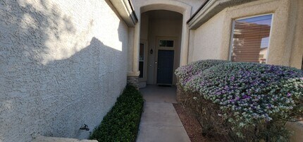 10279 Whispy Willow Way in Las Vegas, NV - Building Photo - Building Photo