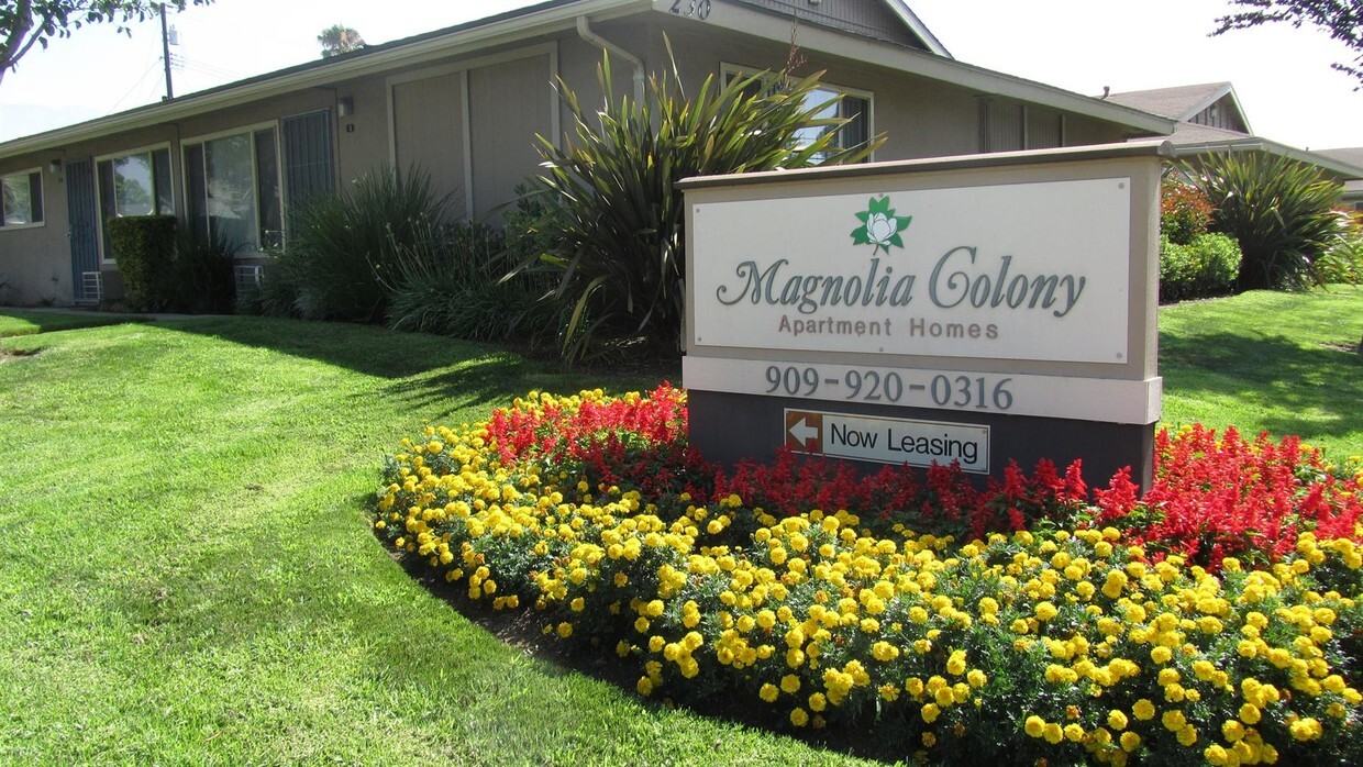 Magnolia Colony Apartments. in Upland, CA - Building Photo