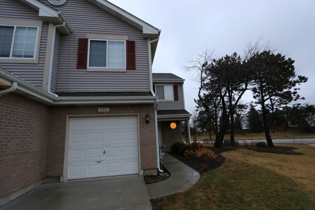 151 Cripple Creek Ct in Schaumburg, IL - Building Photo